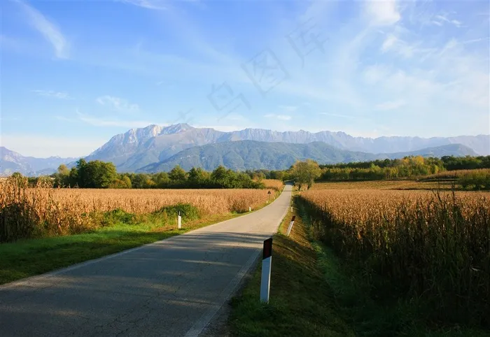 乡村风景，小路，农村