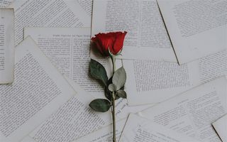 一朵玫瑰花素材