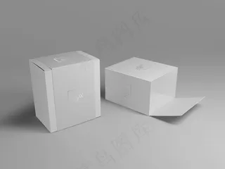 外包装产品包装白色包装盒样机
