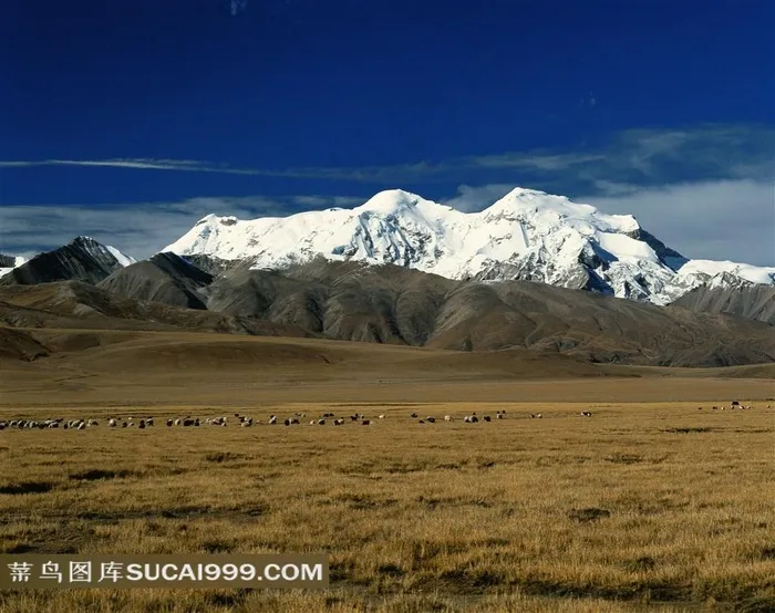大草原雪山风景素材图片