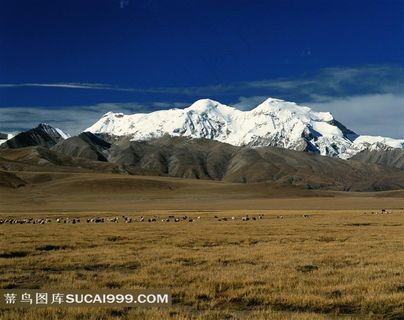 大草原雪山风景素材图片