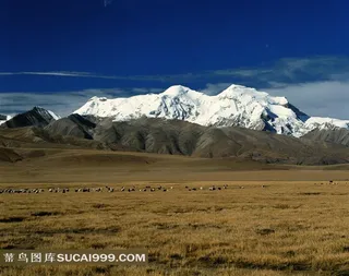 大草原雪山风景素材图片