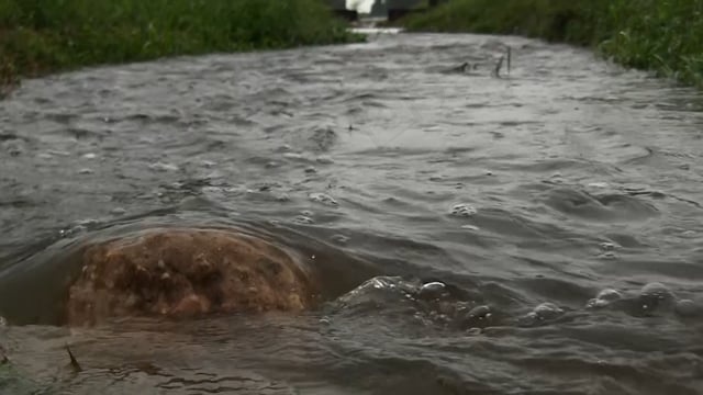 水, 冲, 岩石, 流动, 运动, 溪, 瀑布, 自然, 河