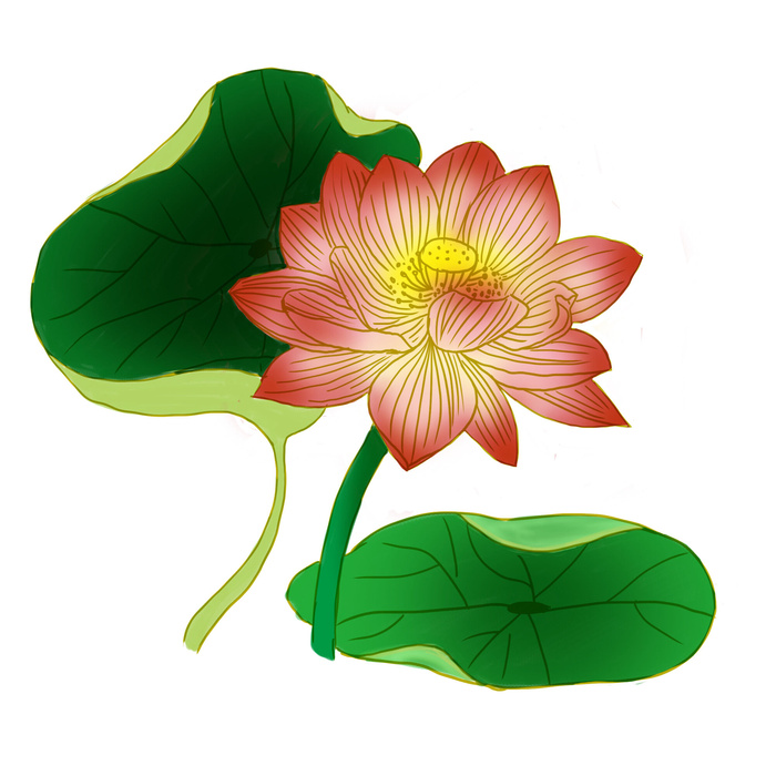 国潮中国风手绘荷花莲花荷叶莲藕植物花卉装饰插画PSD设计素材