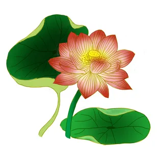 国潮中国风手绘荷花莲花荷叶莲藕植物花卉装饰插画PSD设计素材