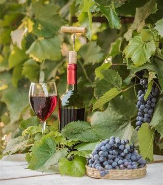 葡萄酒与高脚杯素材