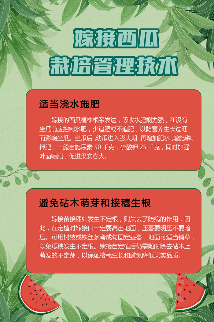 嫁接西瓜栽培管理农业技术海报psd模版下载