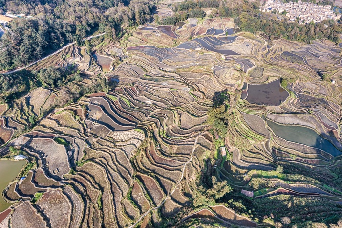 老鹰嘴梯田