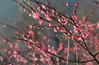 风景|摄影|高清|原创|山水