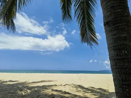 蓝天白云椰林白沙图