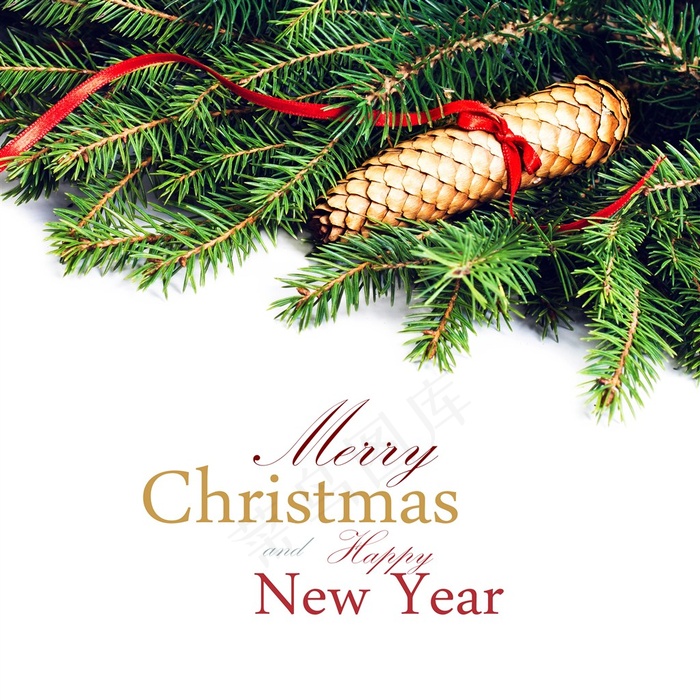 2017年新年圣诞松枝插画