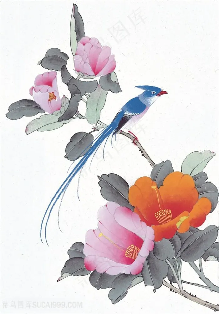 花鸟时尚花卉中式插画