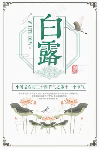 时尚创意二十四节气白露节海报