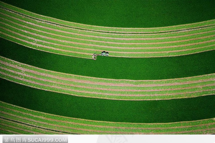 正在收获的农场