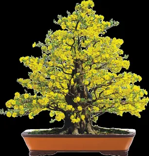 桃花盆装饰新年背景