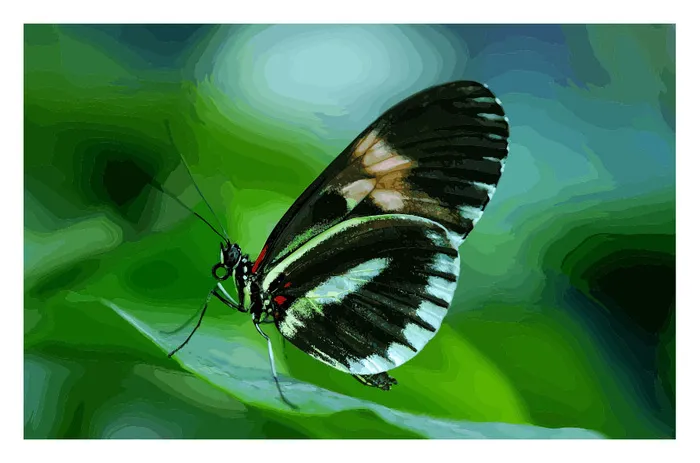 蝴蝶 矢量装饰画eps,ai矢量模版下载