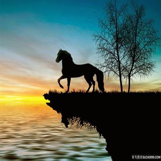 唯美天空骏马剪影图片