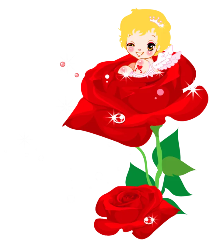 玫瑰花情人节
