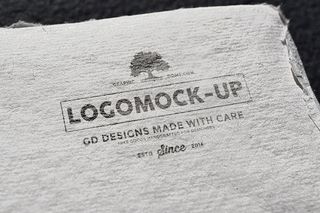 LOGO展示效果样机