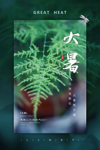 二十四节气大暑海报