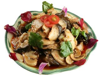 49各种姑娘-乡村小镇