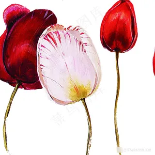 唯美兰花高清油画