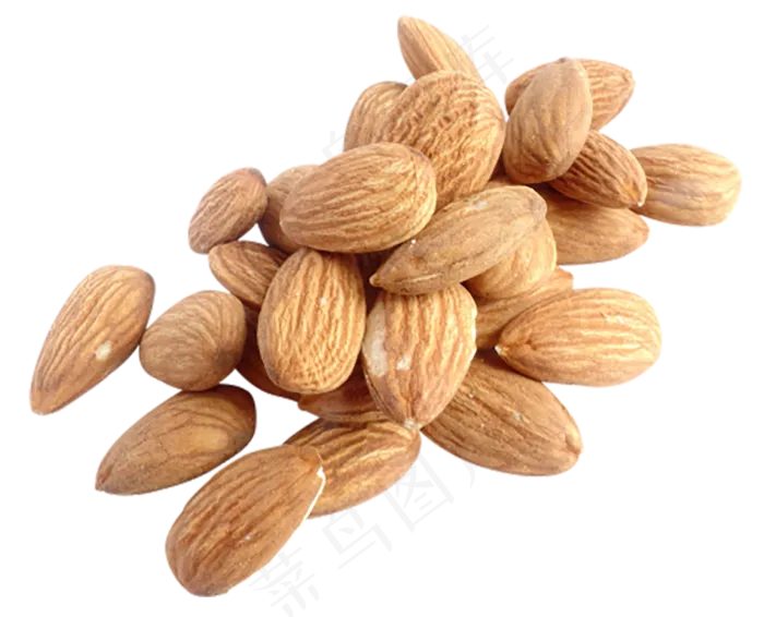 扁口核桃免抠图片