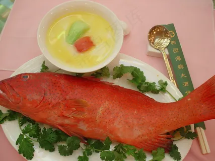 2469堂做翅汤浸鱼