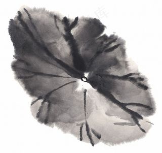 水墨国画荷花图片