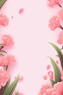 简约粉色康乃馨插画背景