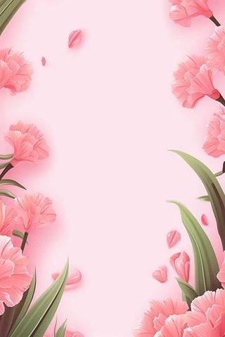简约粉色康乃馨插画背景