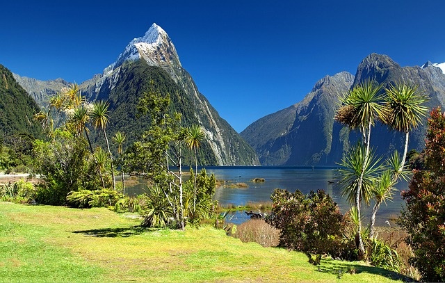 冬天高山背景风景