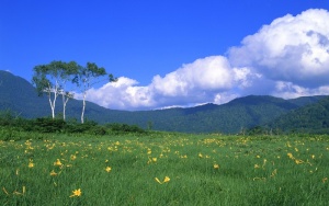 唯美背景桌面