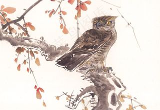 家禽绘画美图素材