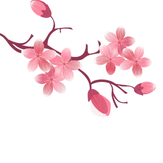 春天浪漫粉红色樱花手绘樱花梅花桃花花朵图片PNG免扣素材 春天浪漫粉红色樱花手绘樱花梅花桃花花朵图片PNG免扣素材
