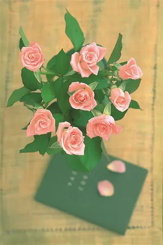 粉红色玫瑰花插花