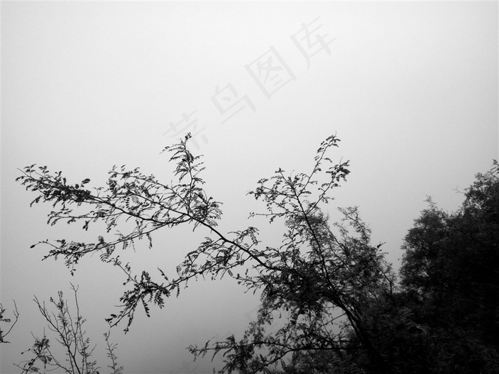 IMG_20160817_162910_HDR