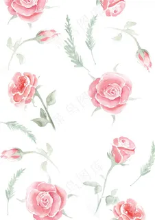水彩花卉图片