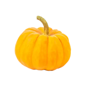 南瓜 (21)超市商品白底图免抠实物摄影png格式图片透明底