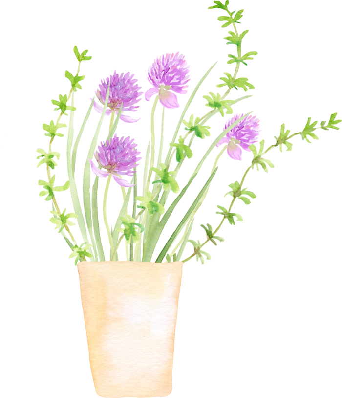 植物免扣植物水彩插画设计素材