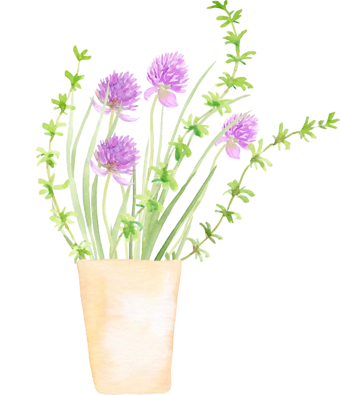 植物免扣植物水彩插画设计素材