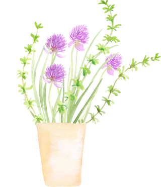 植物免扣植物水彩插画设计素材