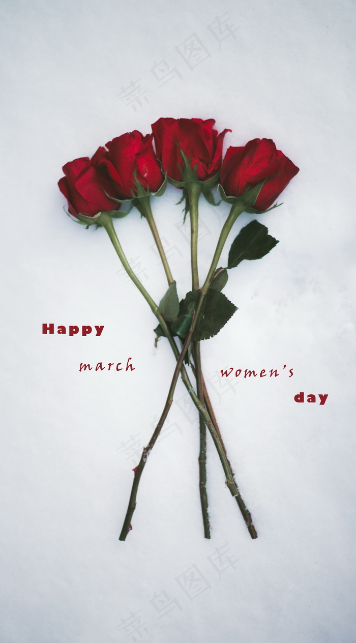 妇女节女王节玫瑰图片