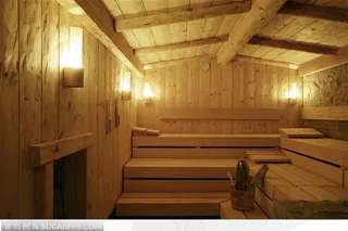 休闲会所原木桑拿房