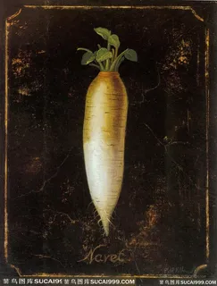 萝卜蔬菜油画