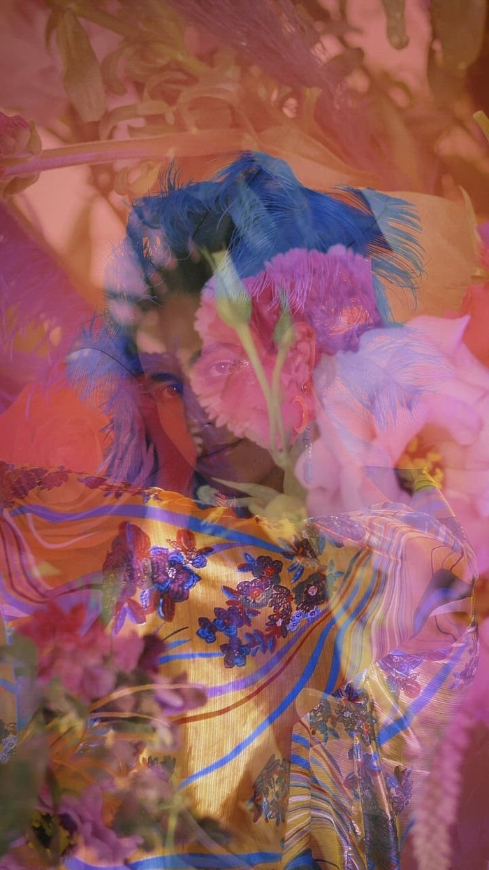 奢侈的同性恋男孩在抽象视频与鲜花