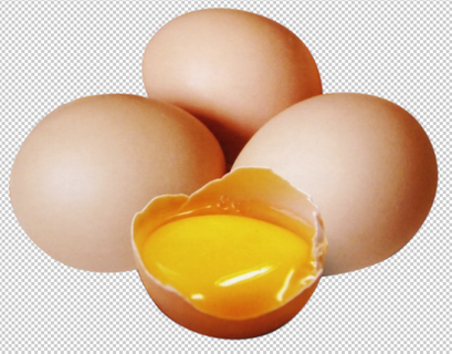 柴鸡蛋免扣素材