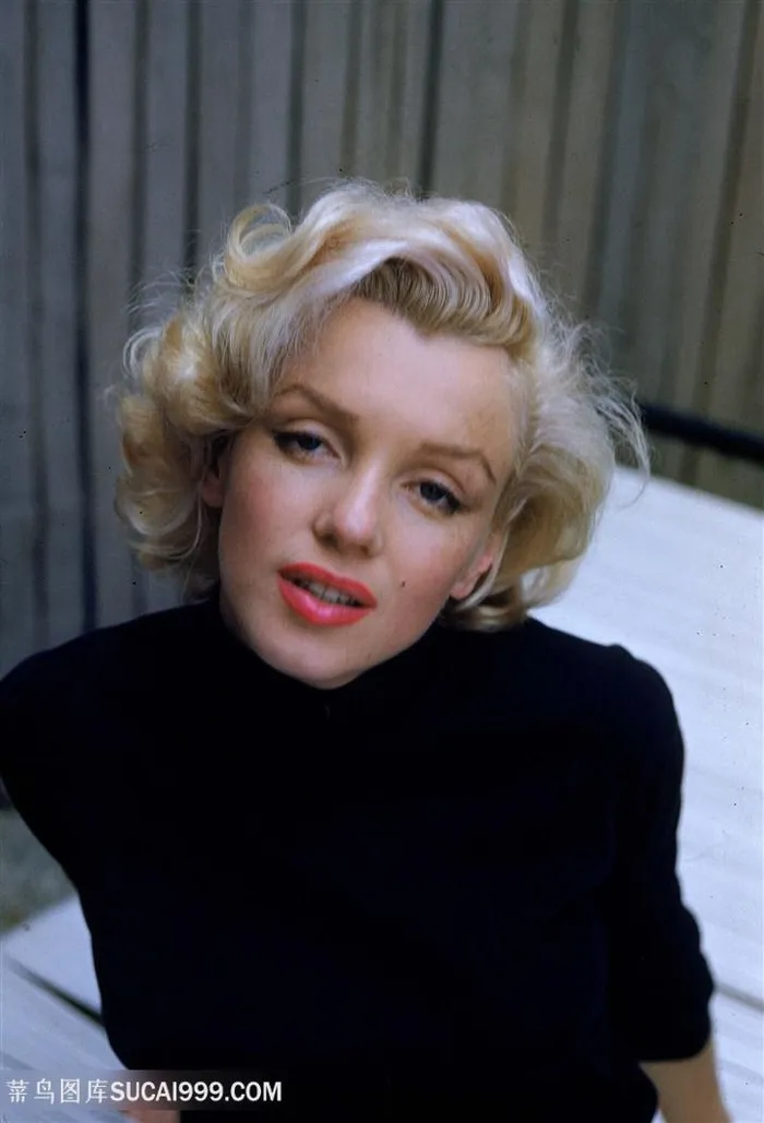 玛丽莲梦露艺术照片