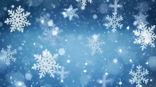 立冬吃饺子美食摄影图