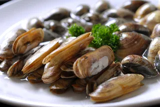 HQ-687圣子文蛤拼